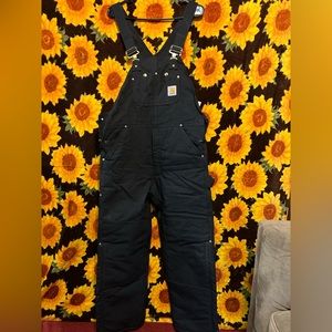 CARHARTT DUCK INSULATED BIB OVERALL